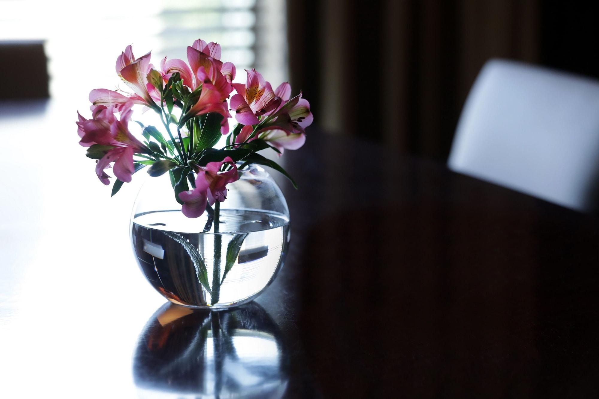 Park Hyatt Mendoza Hotel, Casino&Spa Bagian luar foto A flower vase